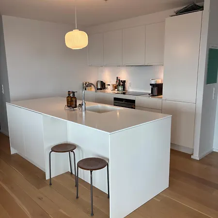 Rare 3 Bedroom Cph Luxury Apt W Stunning View
