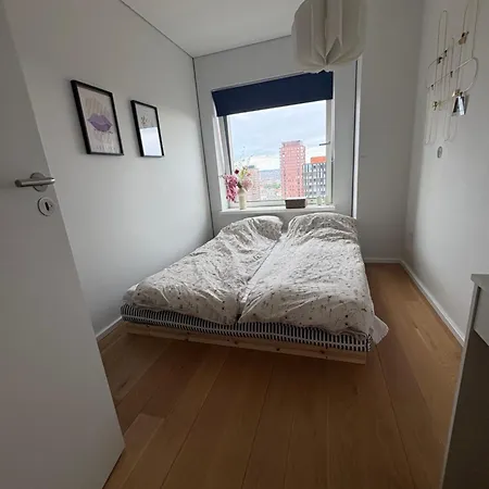 Rare 3 Bedroom Cph Luxury W Stunning View Lejlighed København